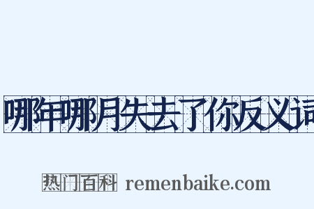 哪年哪月失去了你反义词是什么意思的图片